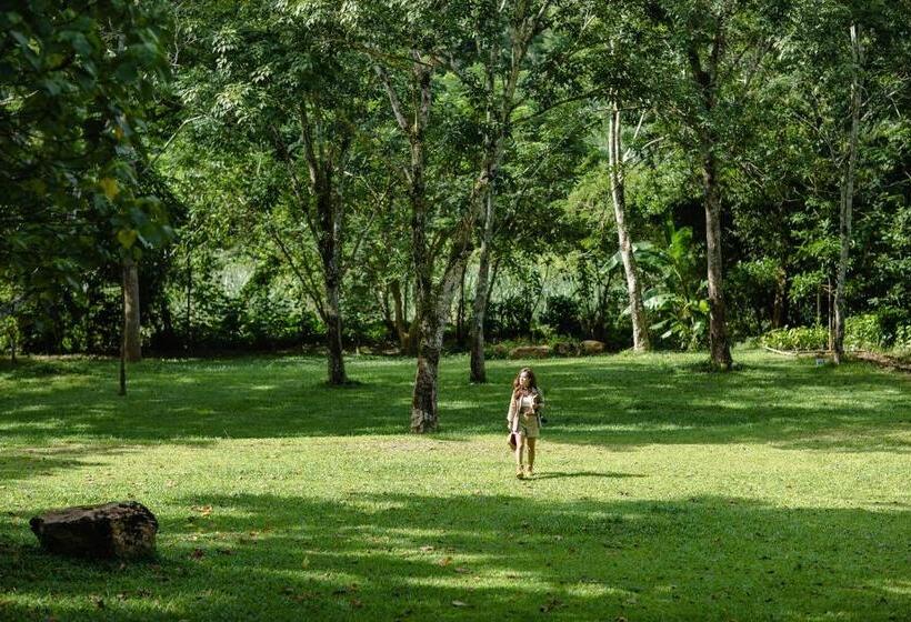 בית מלון כפרי Kachonghills Tented Resort Trang