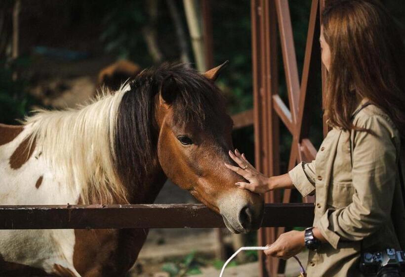 בית מלון כפרי Kachonghills Tented Resort Trang