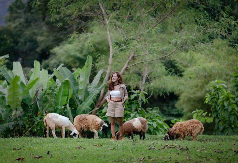 בית מלון כפרי Kachonghills Tented Resort Trang