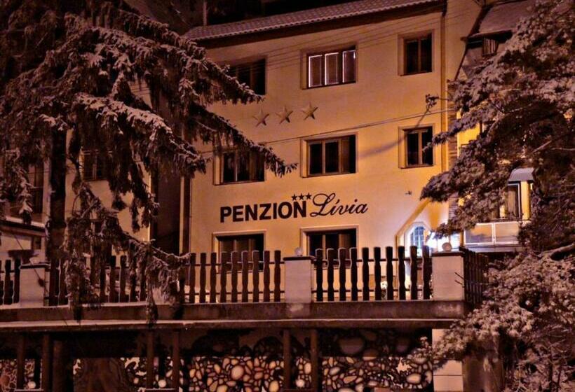 호텔 Penzionlivia,tr.teplice