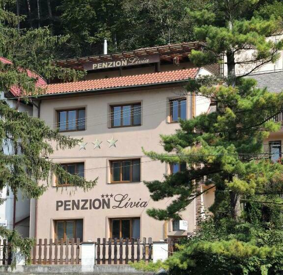 호텔 Penzionlivia,tr.teplice