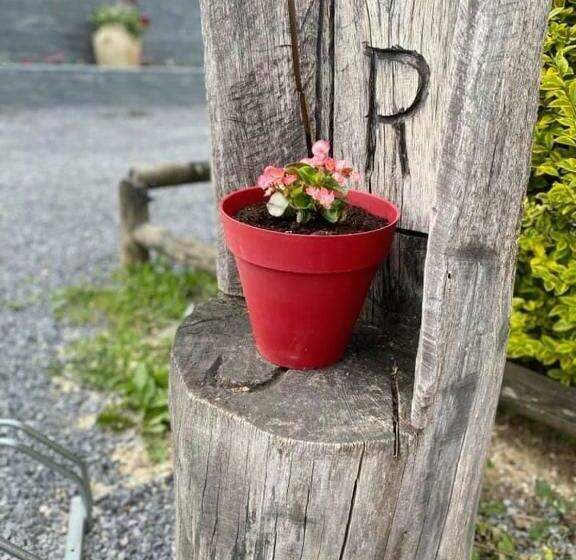 酒店 Restaurant Robinson