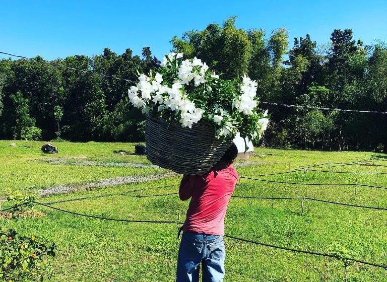 هتل The Cabins At Lvf