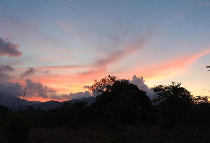 هتل The Cabins At Lvf