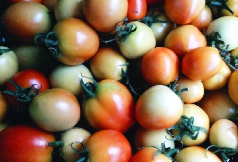 هتل The Cabins At Lvf