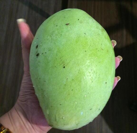 هتل The Cabins At Lvf