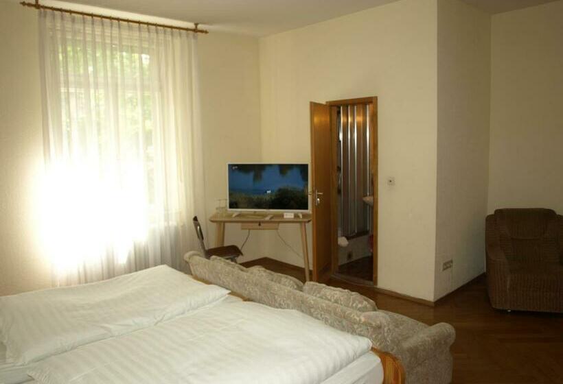 בית מלון כפרי Villa Arnold