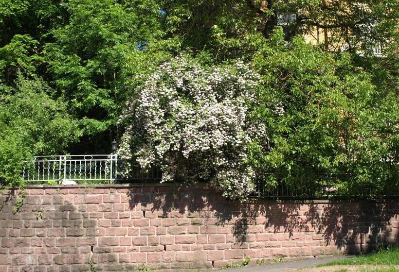 בית מלון כפרי Villa Arnold