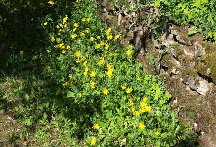 בית מלון כפרי Villa Arnold