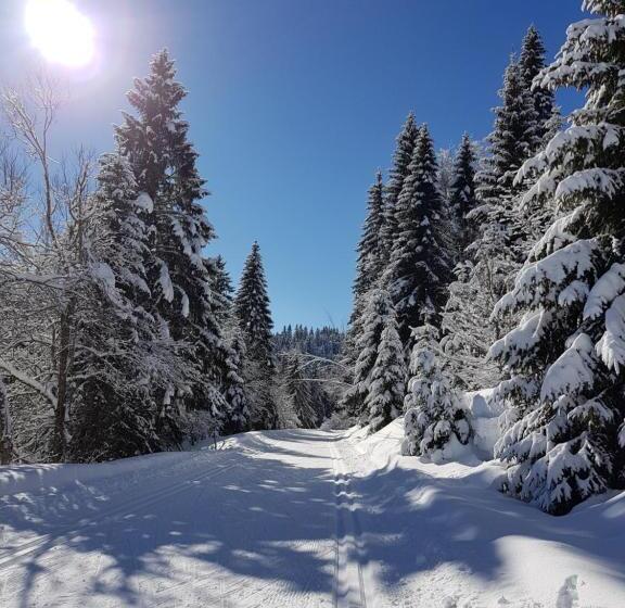 Lodge Hotel Les Rousses