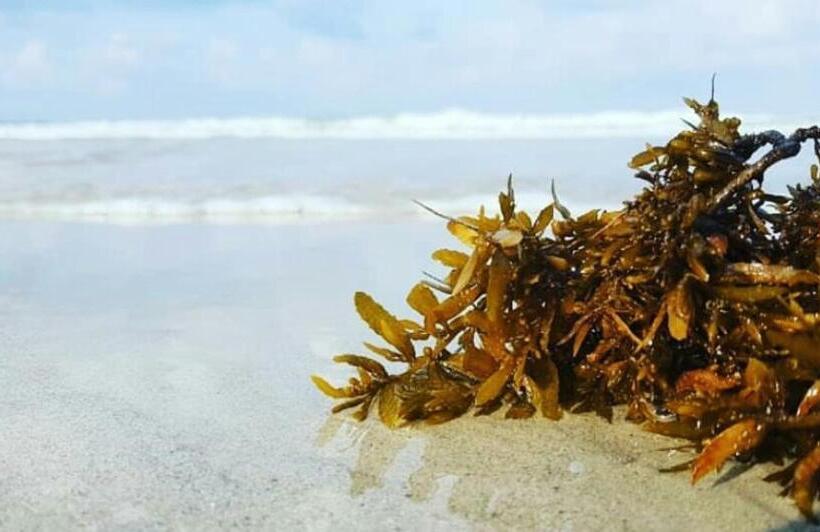 Madu Tiga Beach And Resort