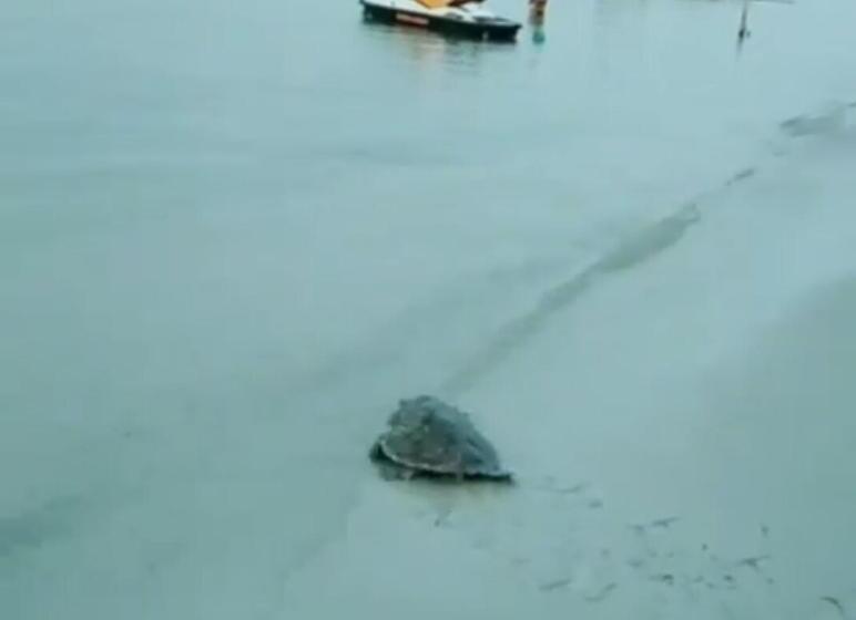 Madu Tiga Beach And Resort