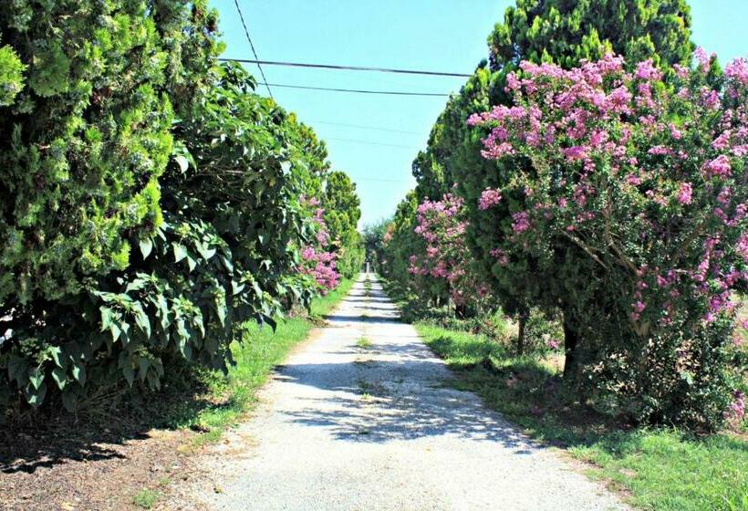 بنسيون B&b Villa Paolida, Aceto Balsamico & Acetaia Antica