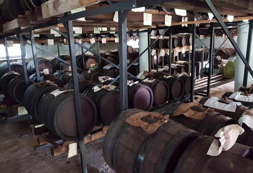 بنسيون B&b Villa Paolida, Aceto Balsamico & Acetaia Antica