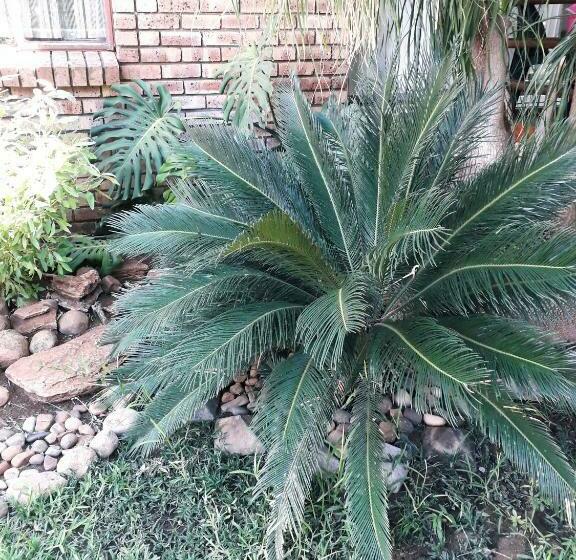 بنسيون Burgersfort Gastehuis