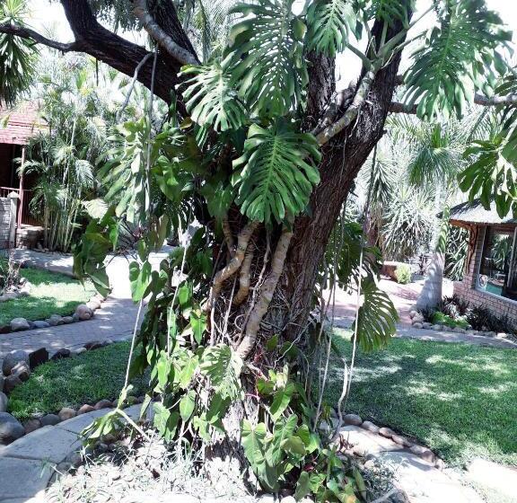 بنسيون Burgersfort Gastehuis