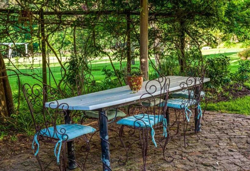 פנסיון Caledon Grace Guesthouse