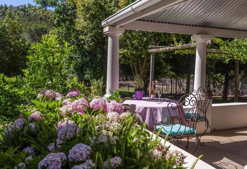 פנסיון Caledon Grace Guesthouse