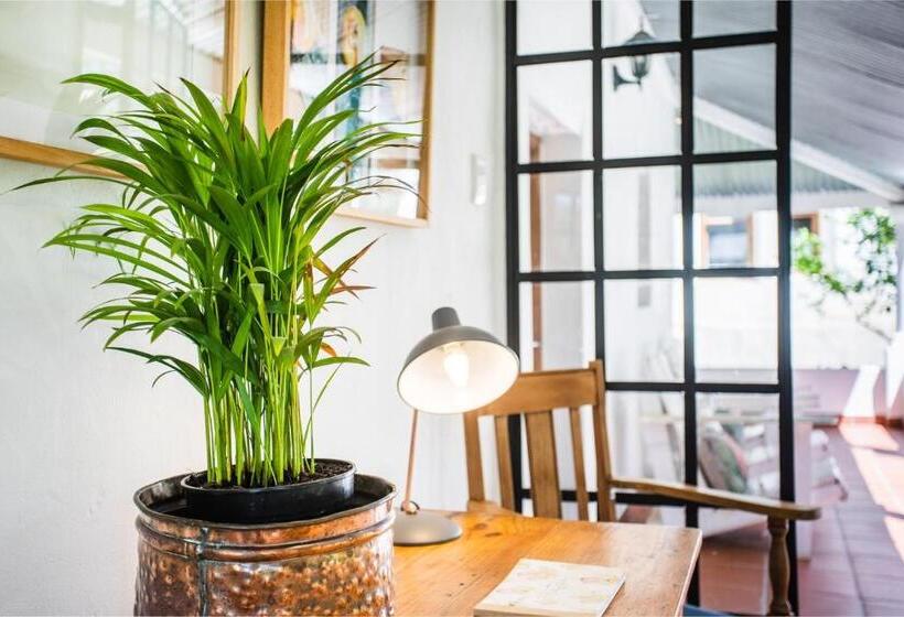 פנסיון Caledon Grace Guesthouse