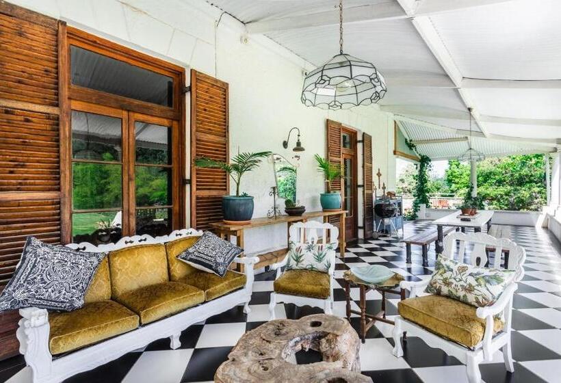 פנסיון Caledon Grace Guesthouse