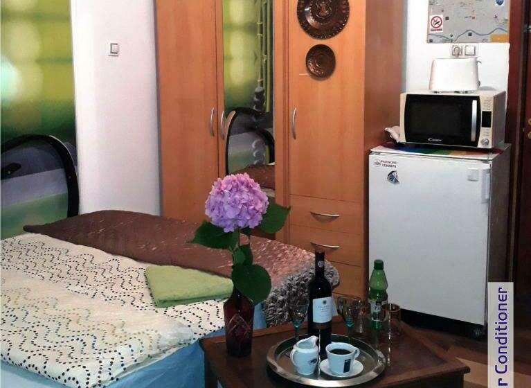 膳宿费 Hostel Pascalis Alesd