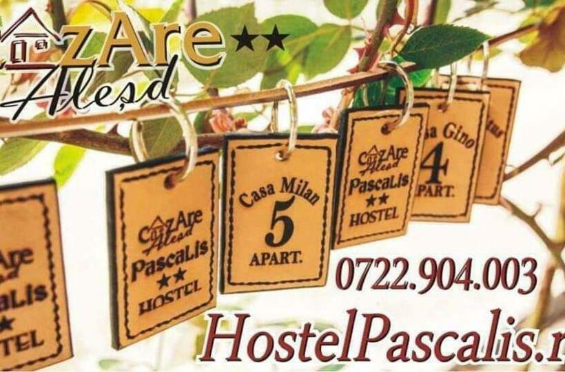 膳宿费 Hostel Pascalis Alesd