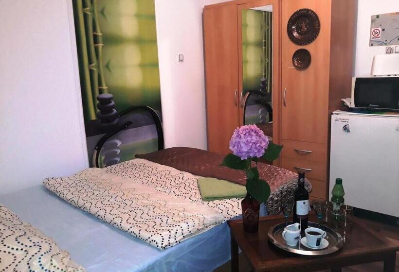 膳宿费 Hostel Pascalis Alesd