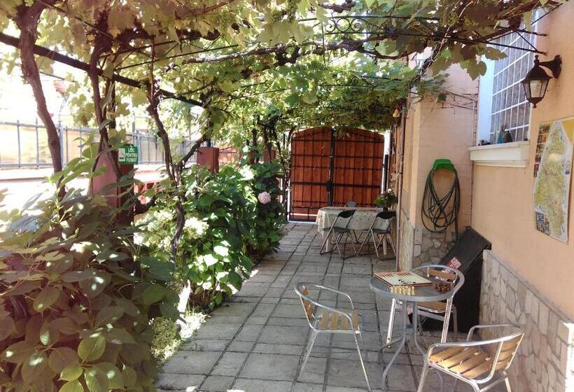 膳宿费 Hostel Pascalis Alesd