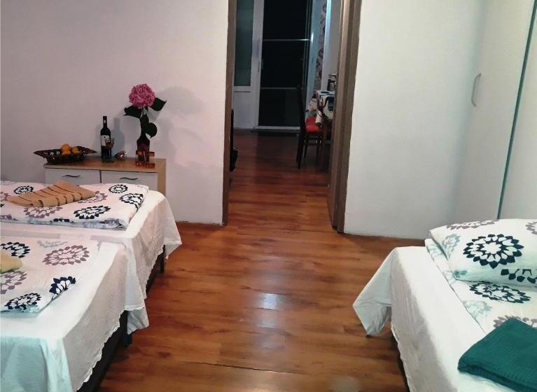 膳宿费 Hostel Pascalis Alesd