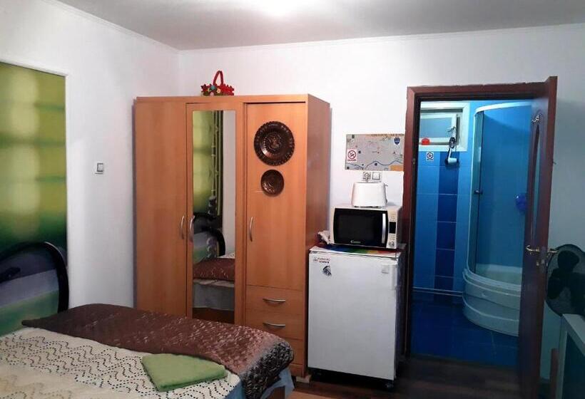 膳宿费 Hostel Pascalis Alesd