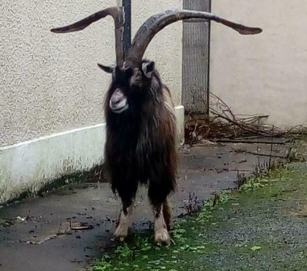 بنسيون Mary S Of Mulranny