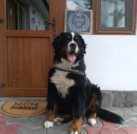 ペンション Relax88