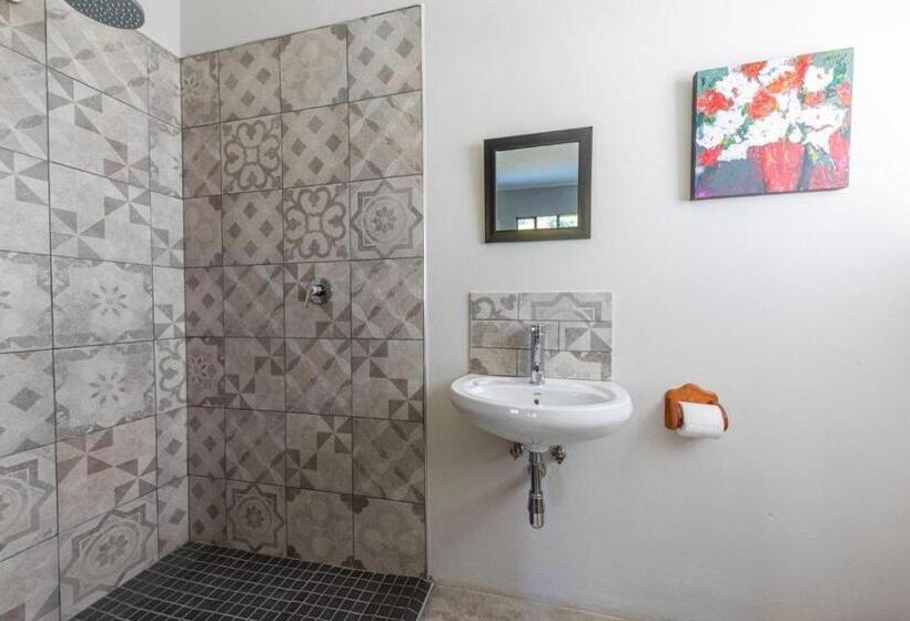 פנסיון Roscommon Guest House