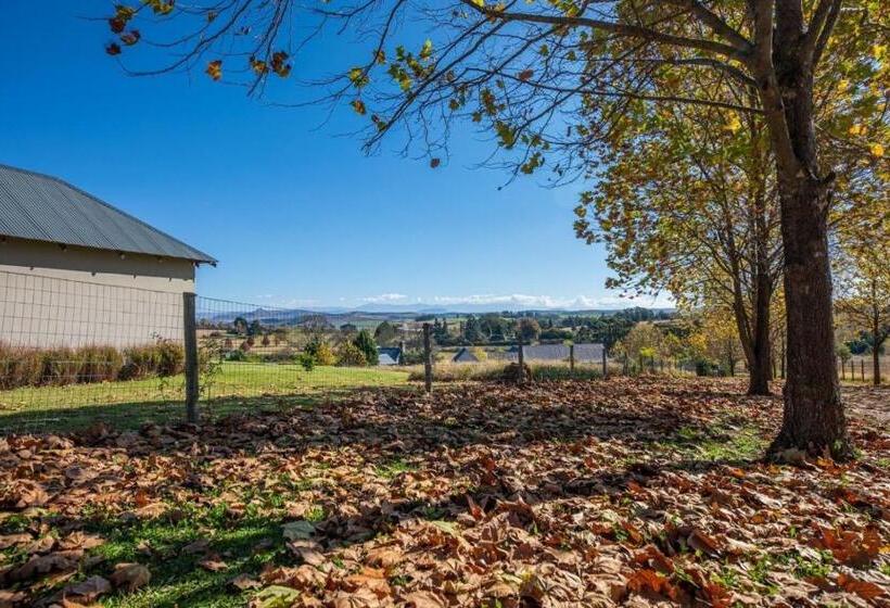 פנסיון Roscommon Guest House