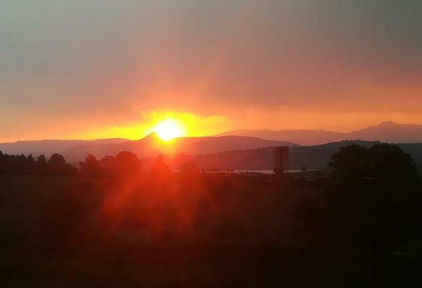 פנסיון Roscommon Guest House