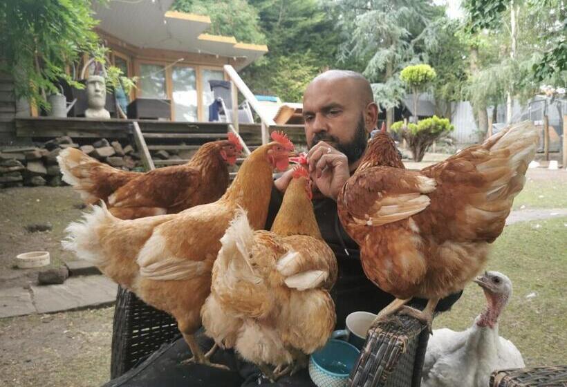 بنسيون The Base Vegan Retreat Animal Sanctuary