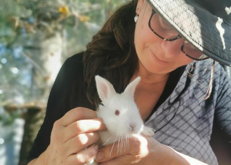 بنسيون The Base Vegan Retreat Animal Sanctuary