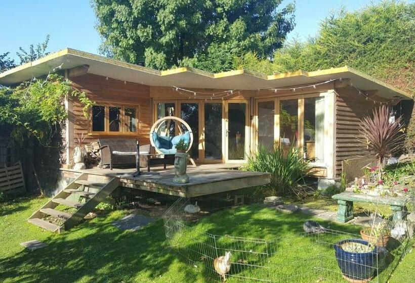 بنسيون The Base Vegan Retreat Animal Sanctuary