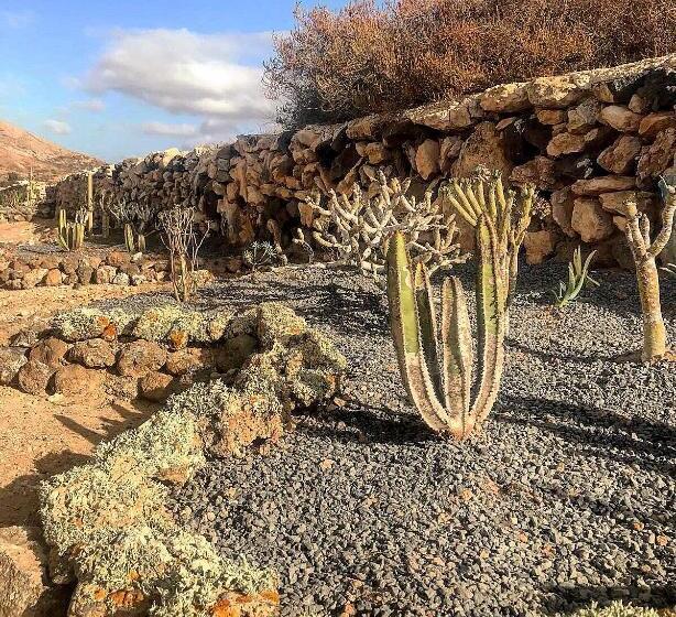 Пансион Tindaya Nature Home Ocean View