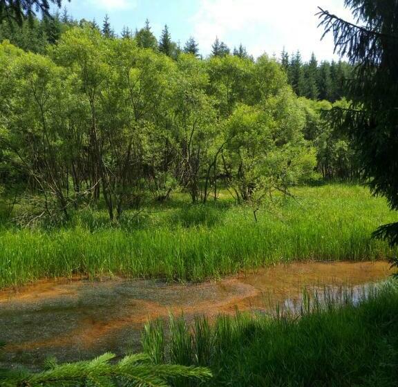 פנסיון U Pohody