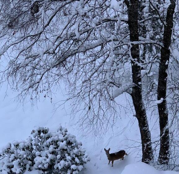 Residenz Kaiser Franz Josef