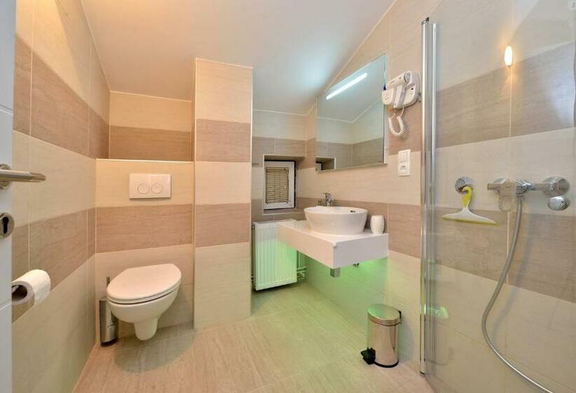 Apartments Bracic Spa