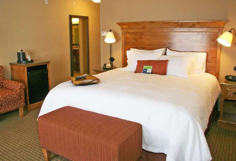 Hampton Inn & Suites Buffalo