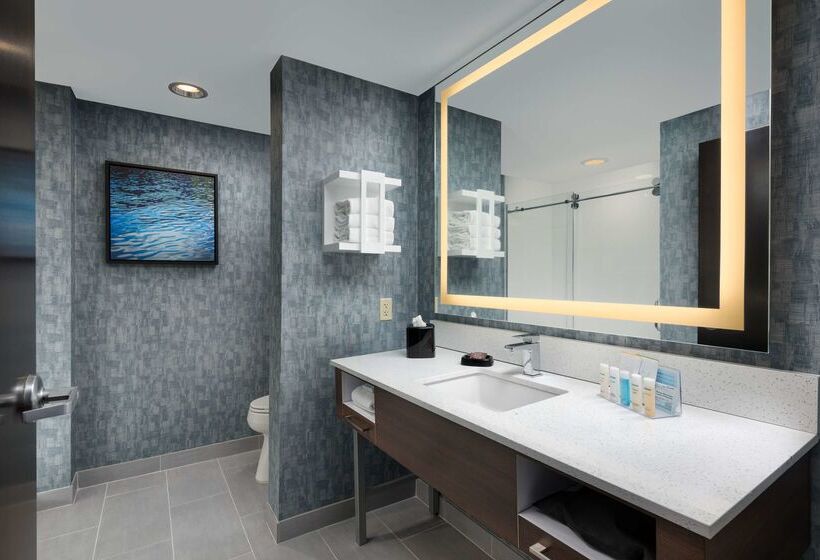 Hampton Inn & Suites Chattanooga/downtown