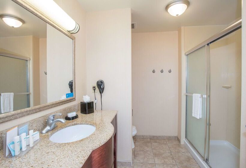 Hampton Inn & Suites Dayton Airport