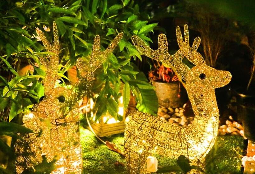 Aiyaree Place Hotel Sha Plus