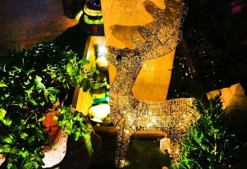 Aiyaree Place Hotel Sha Plus