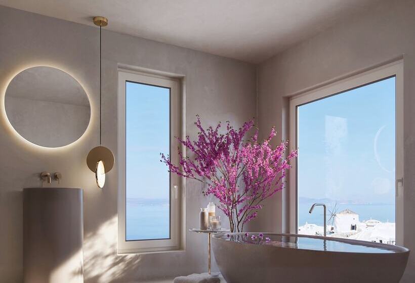 هتل Andronis Boutique