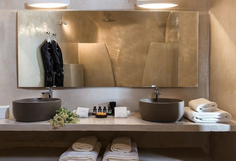 هتل Andronis Boutique