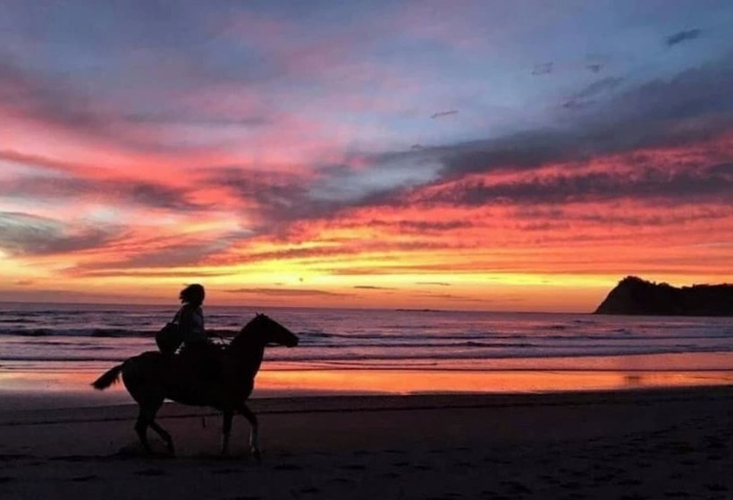 酒店 Bellavista Suites By Villas Verdes Samara Beach